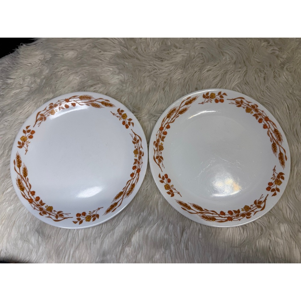 Vintage Corelle Autumn Harvest Dinner Plates (Set of 2) Vitrelle 10.25"